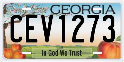 GA license plate CEV1273