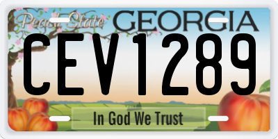 GA license plate CEV1289