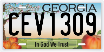 GA license plate CEV1309