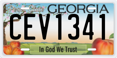 GA license plate CEV1341