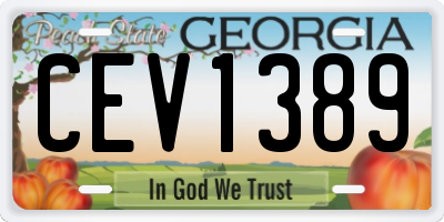 GA license plate CEV1389