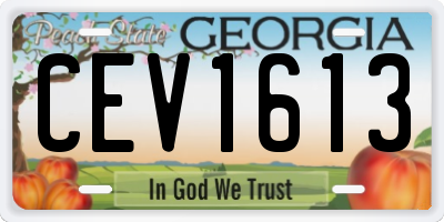 GA license plate CEV1613