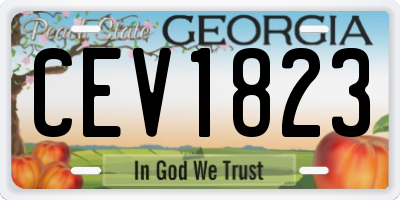 GA license plate CEV1823