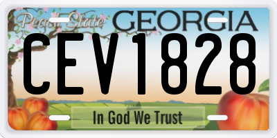 GA license plate CEV1828