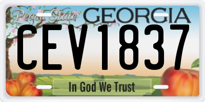 GA license plate CEV1837