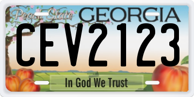 GA license plate CEV2123