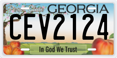 GA license plate CEV2124