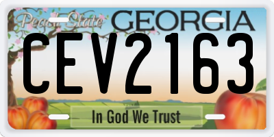 GA license plate CEV2163