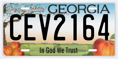 GA license plate CEV2164