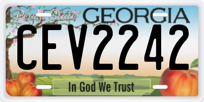 GA license plate CEV2242