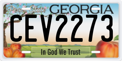 GA license plate CEV2273