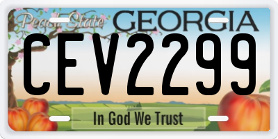 GA license plate CEV2299