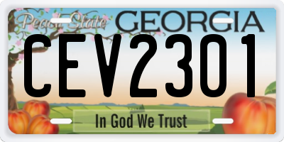 GA license plate CEV2301