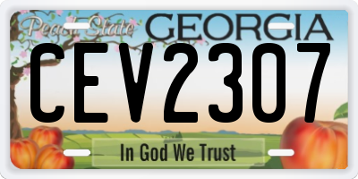 GA license plate CEV2307