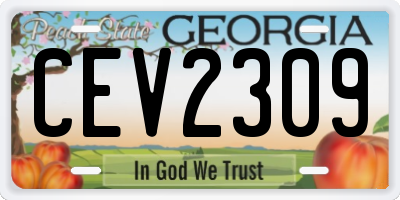 GA license plate CEV2309