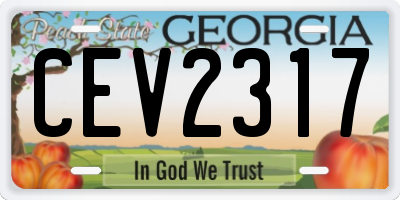 GA license plate CEV2317