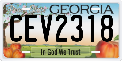 GA license plate CEV2318