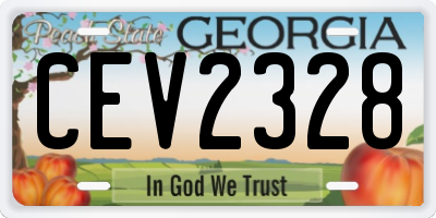 GA license plate CEV2328
