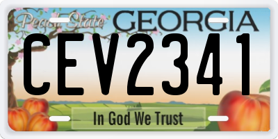 GA license plate CEV2341