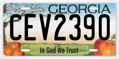 GA license plate CEV2390