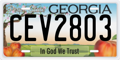 GA license plate CEV2803