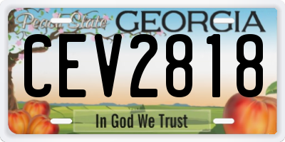 GA license plate CEV2818