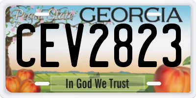 GA license plate CEV2823