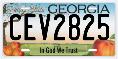 GA license plate CEV2825