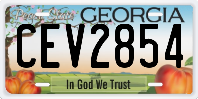 GA license plate CEV2854