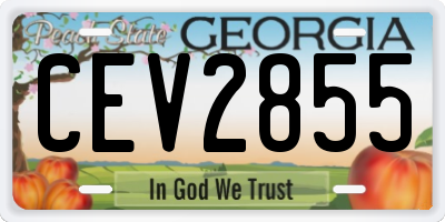 GA license plate CEV2855