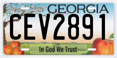 GA license plate CEV2891