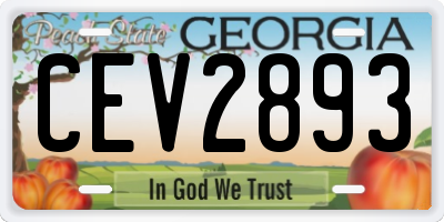 GA license plate CEV2893