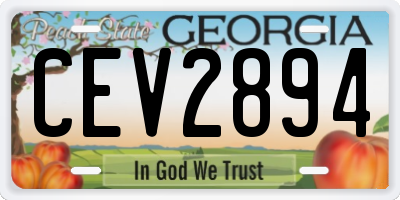 GA license plate CEV2894