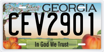 GA license plate CEV2901
