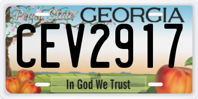 GA license plate CEV2917
