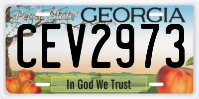 GA license plate CEV2973