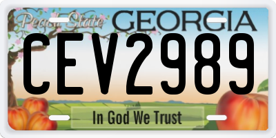 GA license plate CEV2989