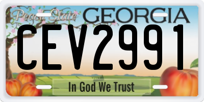 GA license plate CEV2991