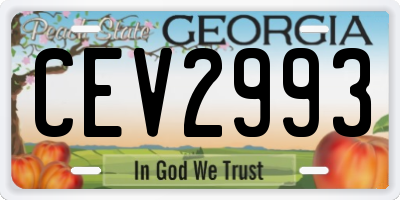 GA license plate CEV2993