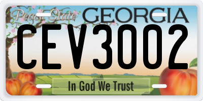 GA license plate CEV3002