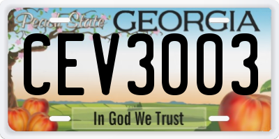 GA license plate CEV3003