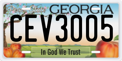 GA license plate CEV3005