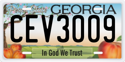 GA license plate CEV3009