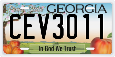 GA license plate CEV3011