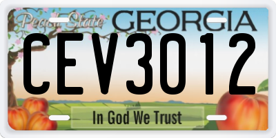 GA license plate CEV3012