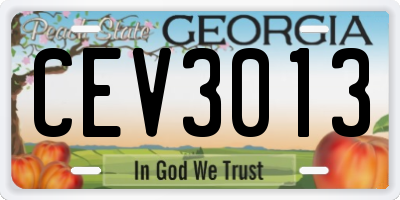 GA license plate CEV3013