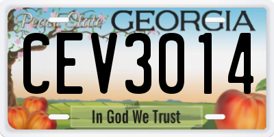 GA license plate CEV3014