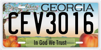 GA license plate CEV3016