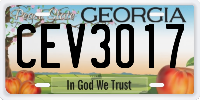 GA license plate CEV3017