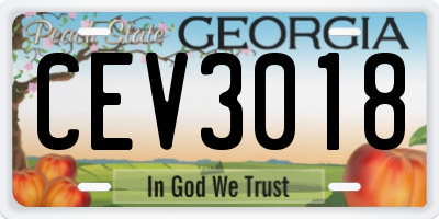 GA license plate CEV3018